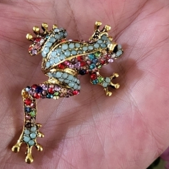 Colorful Rhinestone Tree Frog Pin - Picture 2 of 3